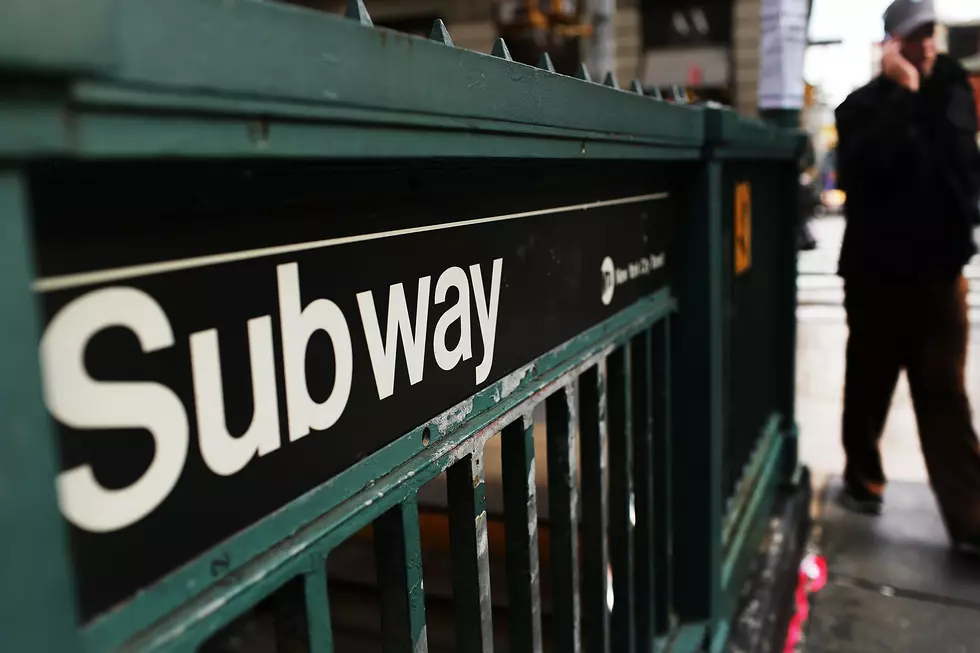 How 18 New Yorkers Snuck Their Dogs On The Subway
