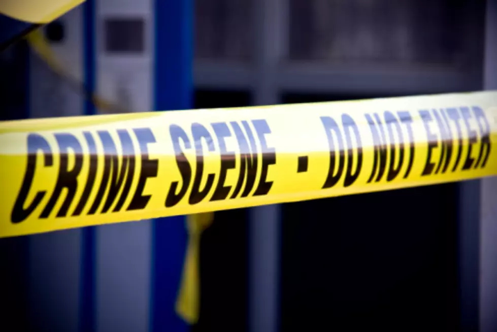 The Remains of Two Human Bodies Found in WNY