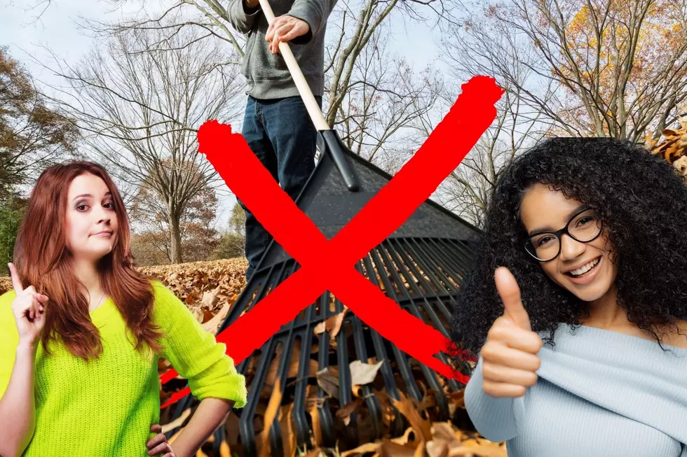 Should New Yorkers Skip Leaf Raking This Fall?