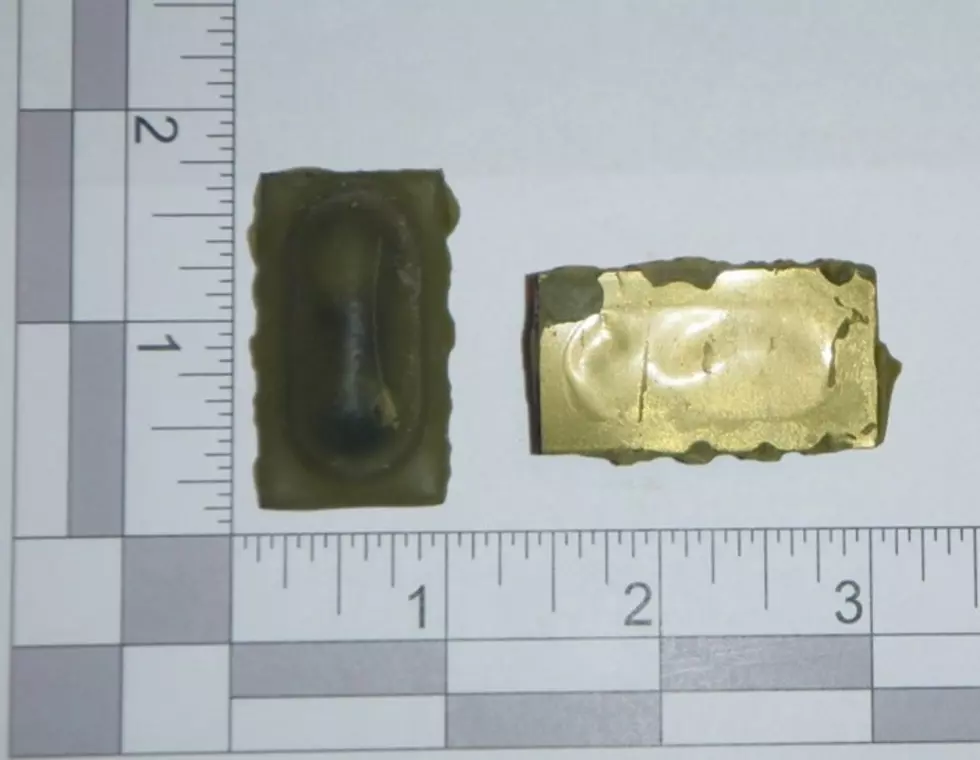 New York Officials Warning People Not To Touch These