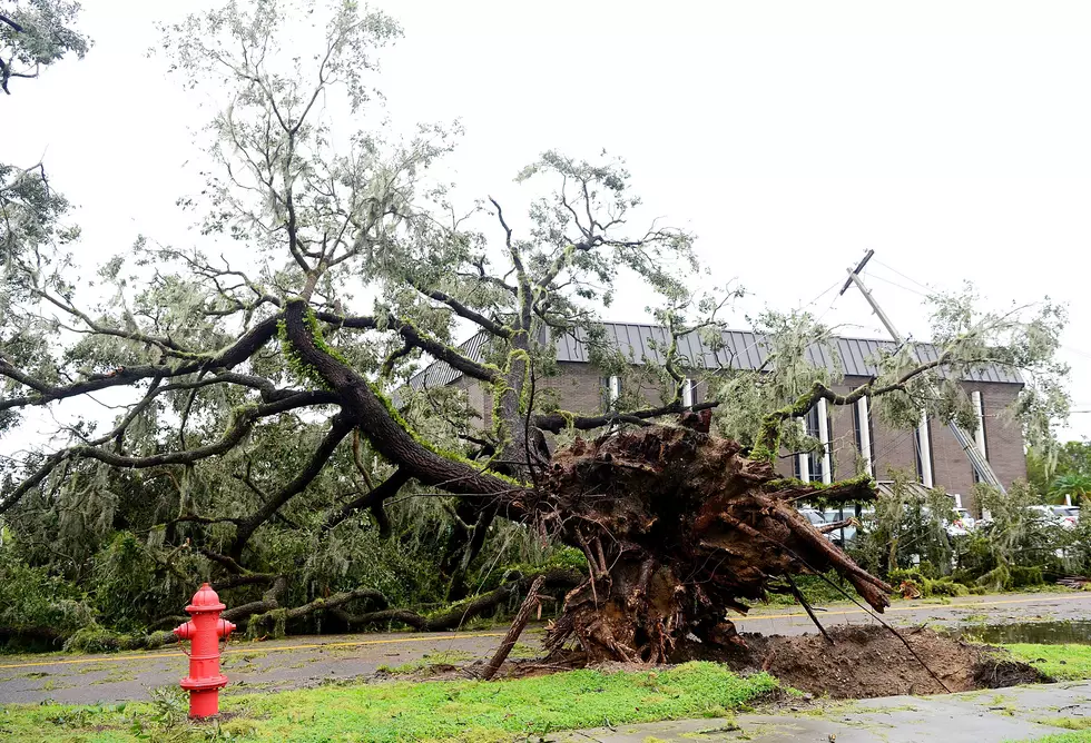 Another Massive Windstorm Coming To New York