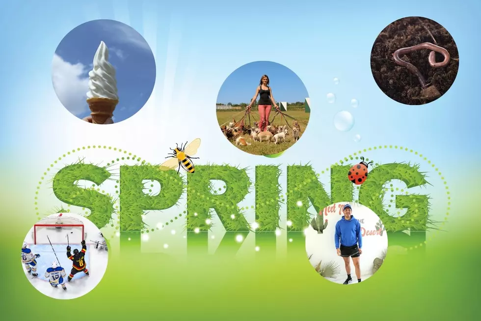 5 Sure Signs That Spring Is Here In Western New York